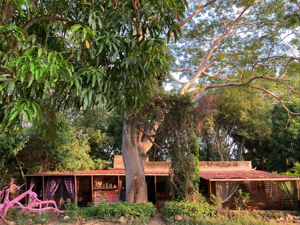 Hotel Planta Glamp Farm Santa María Huatulco Esterno foto