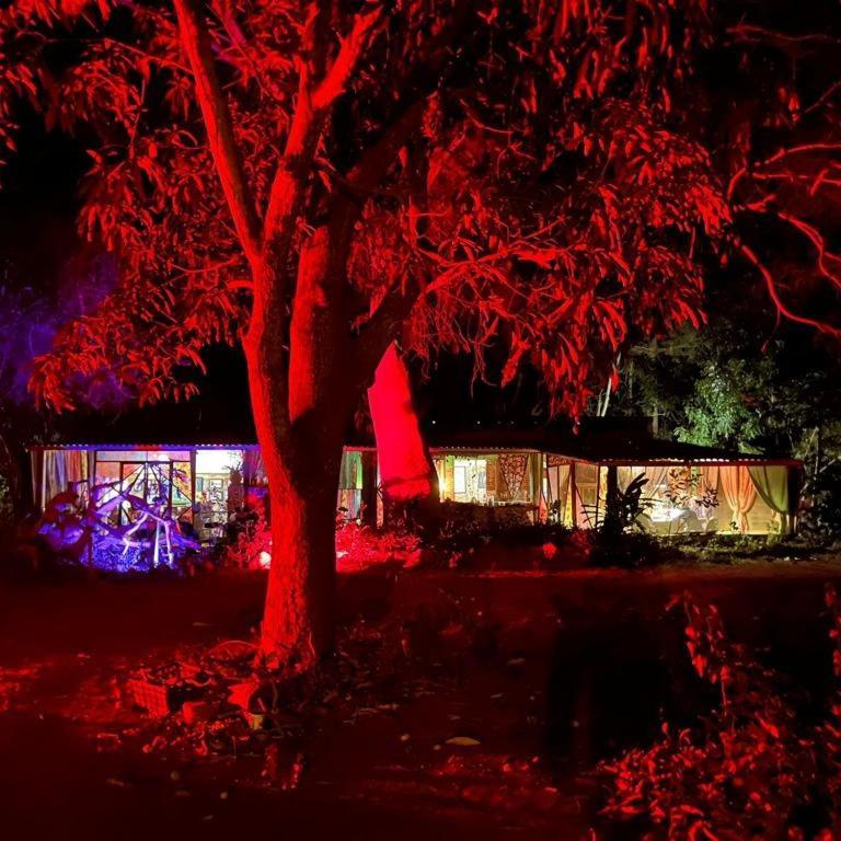 Hotel Planta Glamp Farm Santa María Huatulco Esterno foto